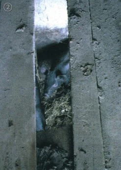 fg2_17_i7.jpg?type=h345_fst&wm=Y