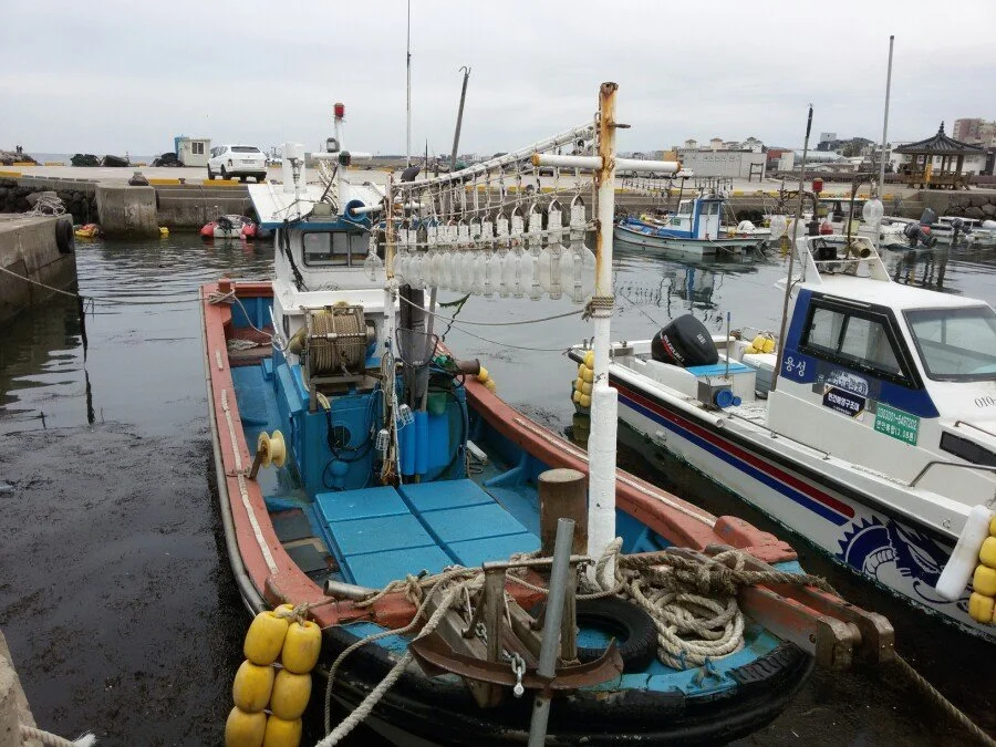 20180218_154823.jpg?type=w1200