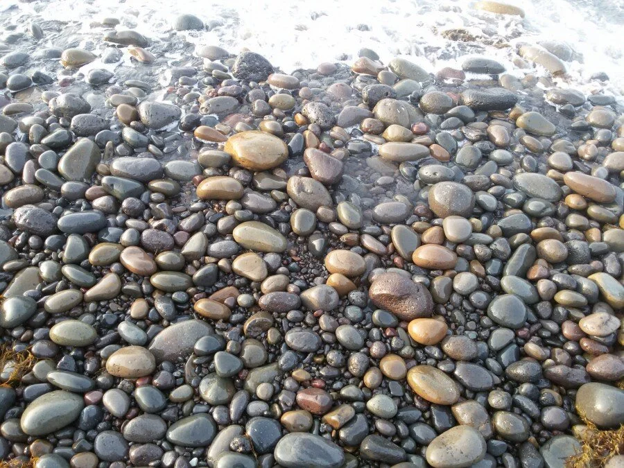 20180216_172147.jpg?type=w1200