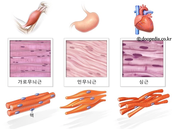 26516_0.gif?type=ori_1&wm=N