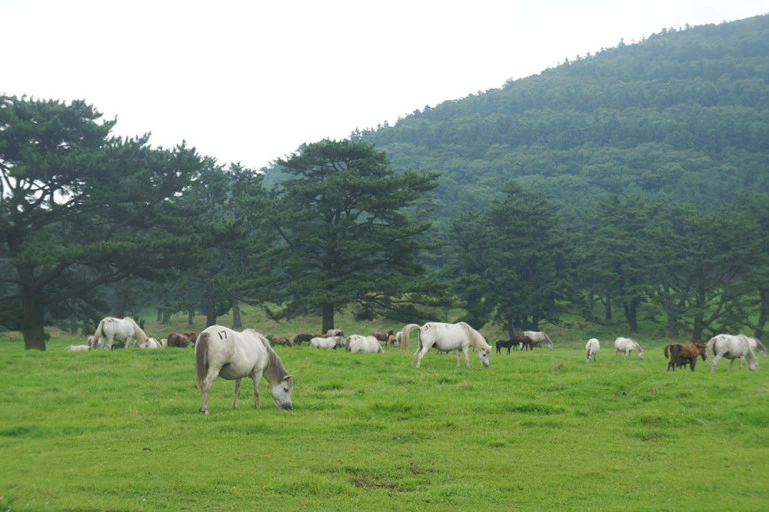 다운로드 (14).jfif