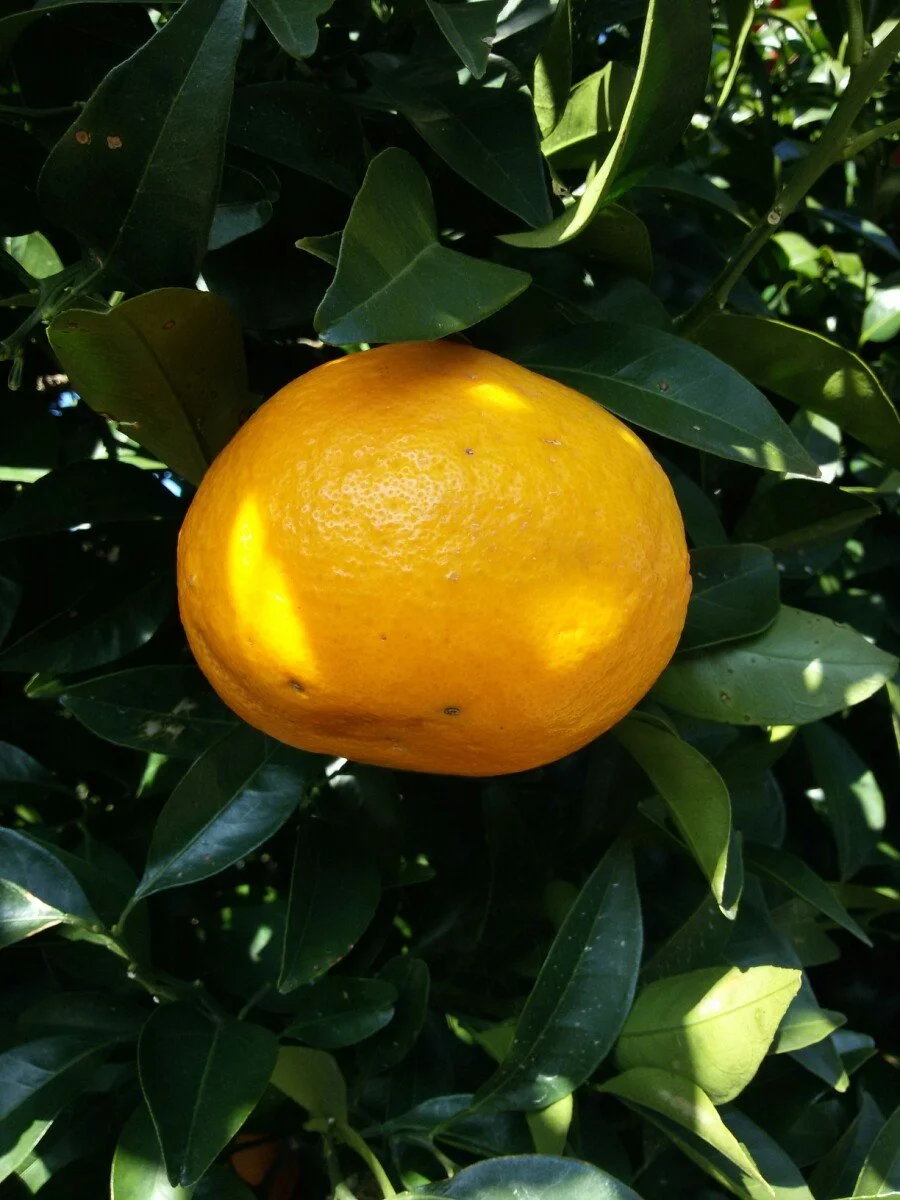 20180312_161416.jpg?type=w1200