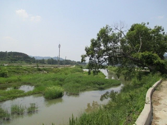 00028.jpg?type=w1200