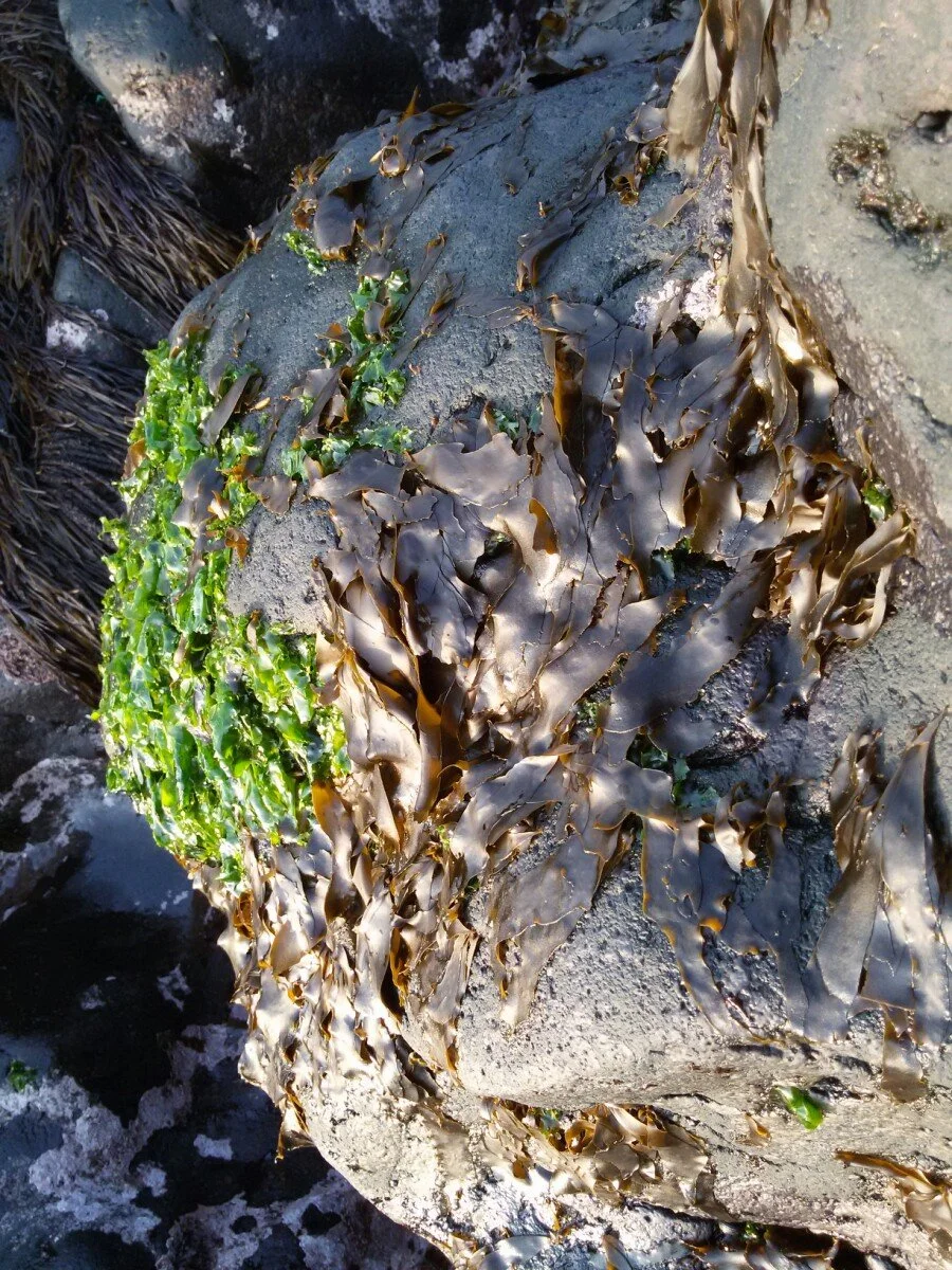 20180216_172948.jpg?type=w1200