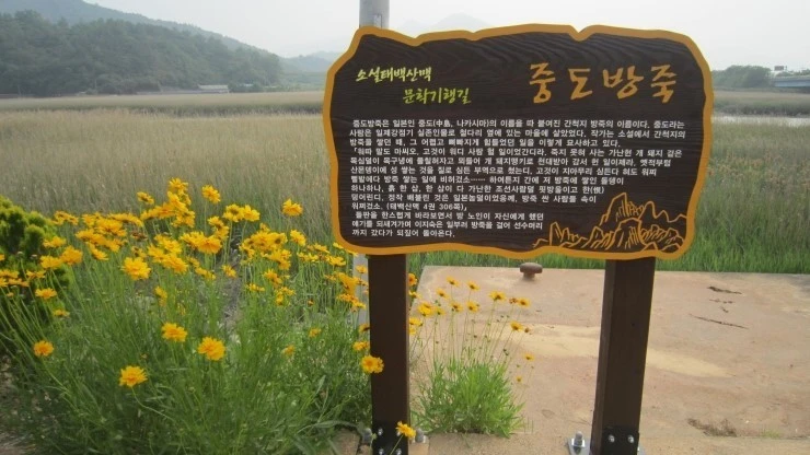 다운로드 (2).jfif