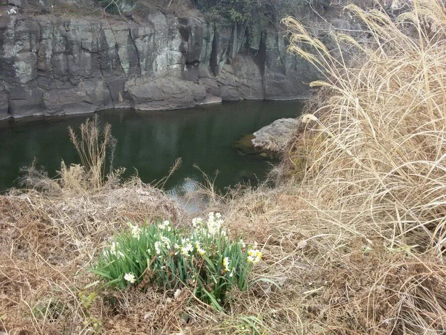 20180222_124253.jpg?type=w1200