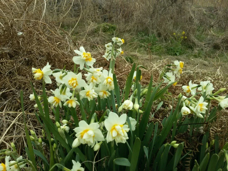 20180222_124406.jpg?type=w1200