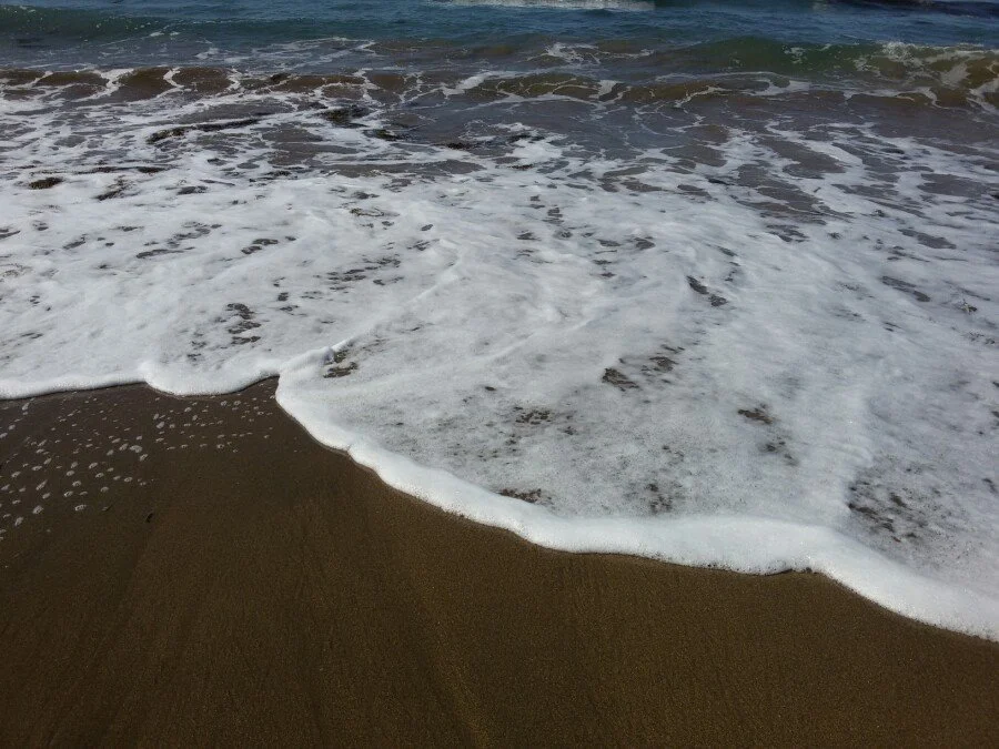 20180217_132132.jpg?type=w1200