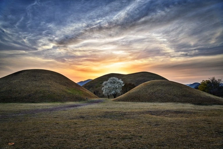 다운로드 (15).jfif