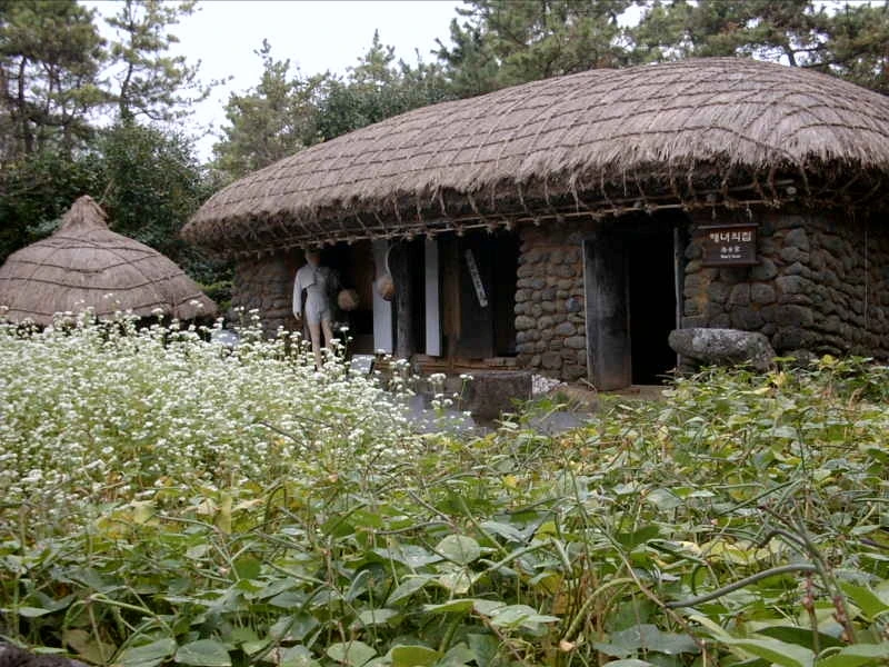 다운로드 (20).jfif