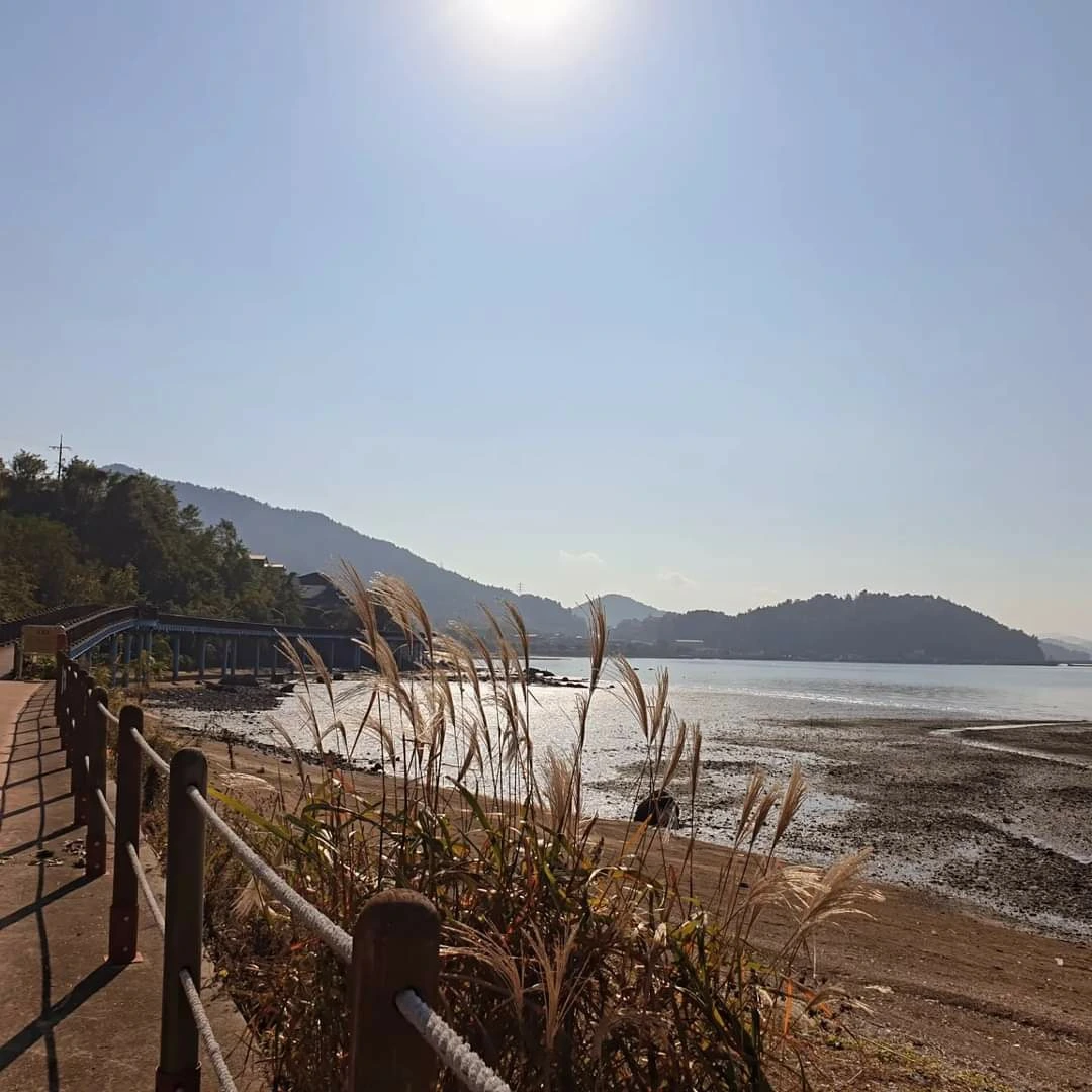 att-fe86a5da5a804b0892ef647093a869fb.do