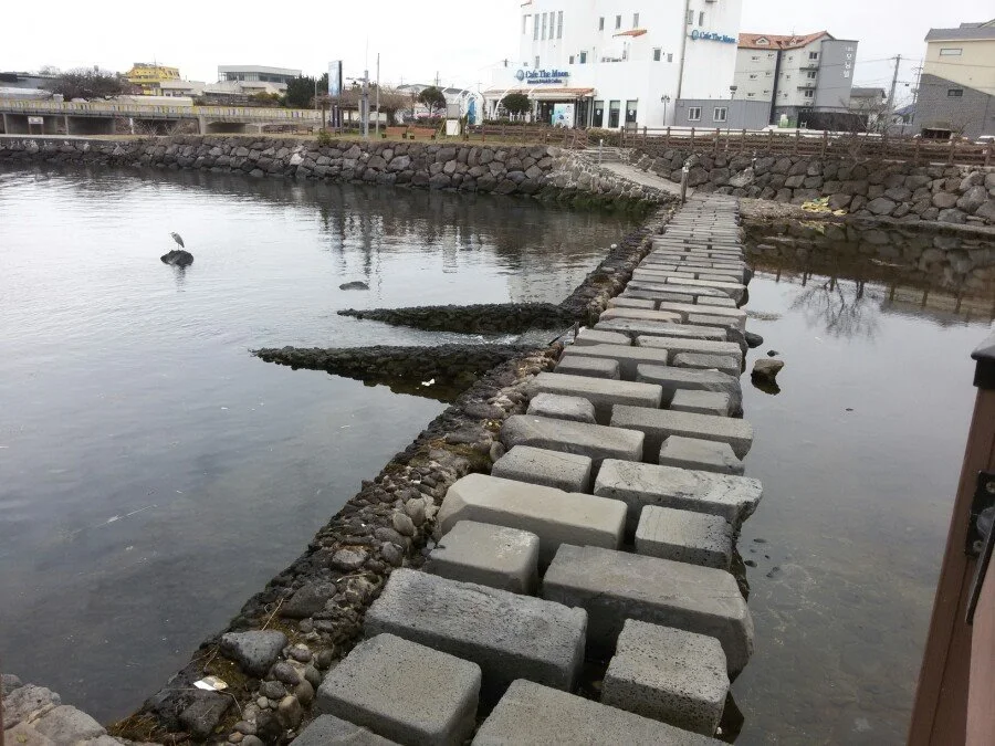 20180218_145048.jpg?type=w1200