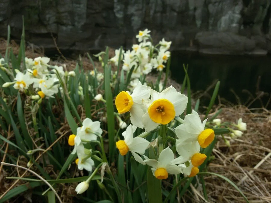 20180222_124326.jpg?type=w1200