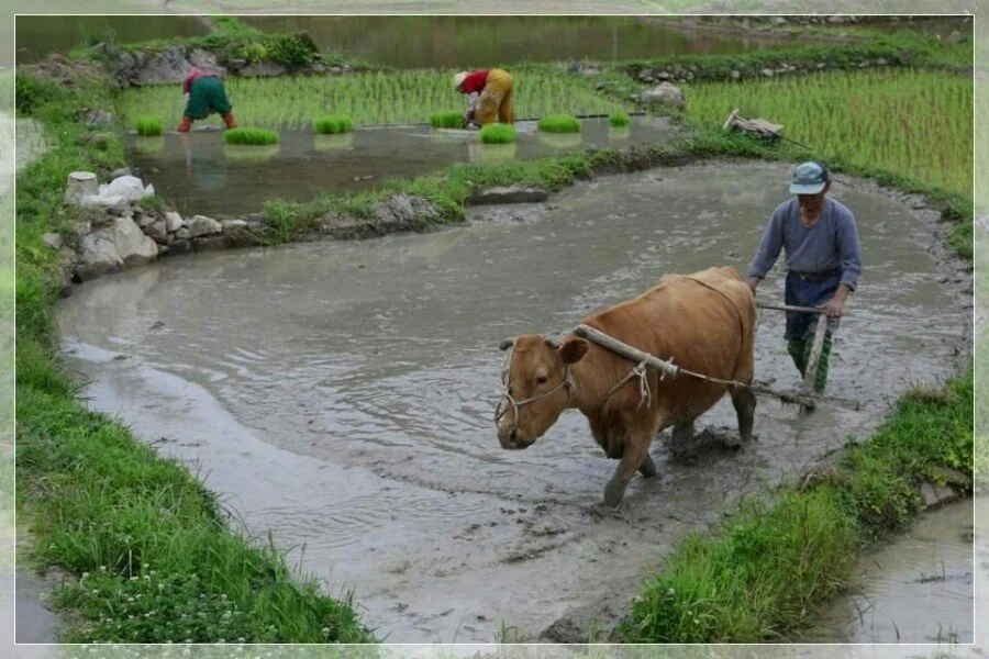 1448715889224.jpeg?type=w1200