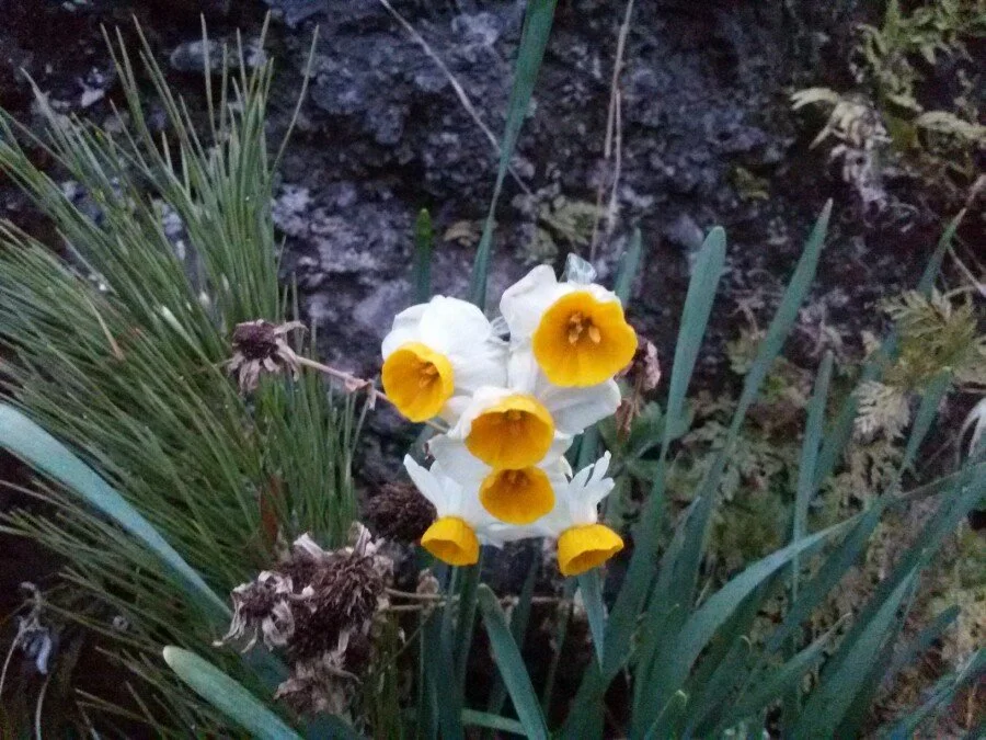 20180219_182435.jpg?type=w1200