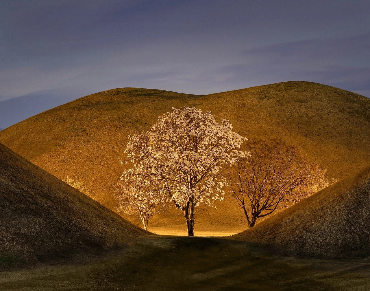 다운로드 (9).jfif