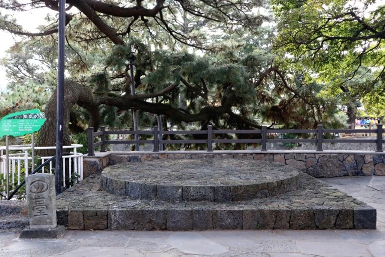 다운로드 (14).jfif