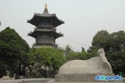 566884.jpg?type=m250&wm=N