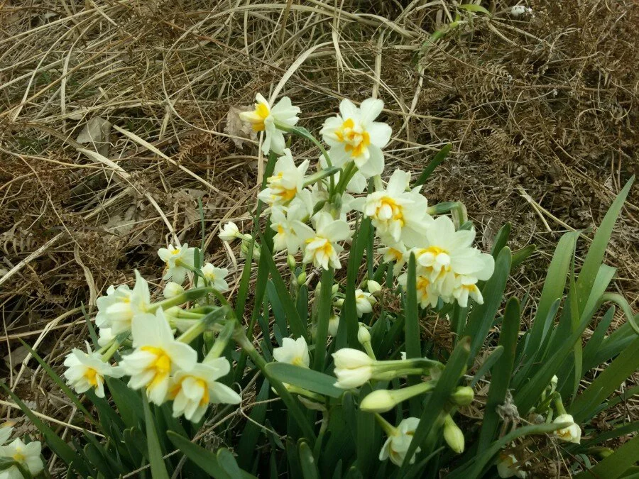 20180222_124342.jpg?type=w1200