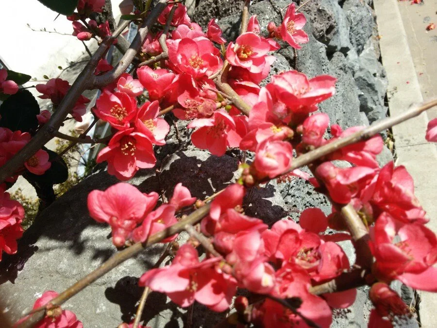 20180312_130058.jpg?type=w1200