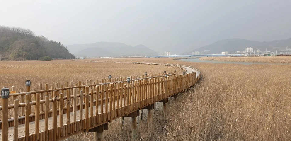 다운로드 (13).jfif