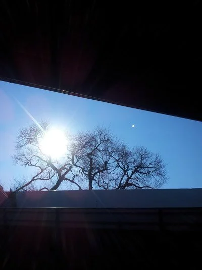 downloadfile.jpeg?type=w1200