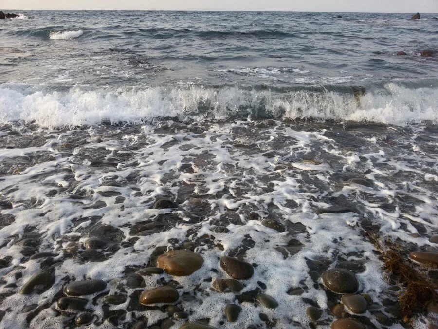 20180216_172211.jpg?type=w1200