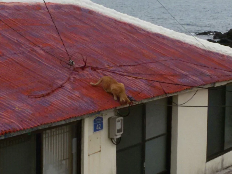 20180218_160228.jpg?type=w1200