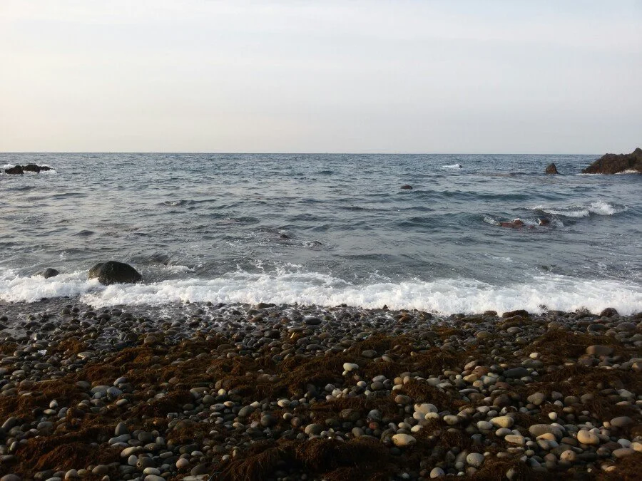 20180216_172454.jpg?type=w1200