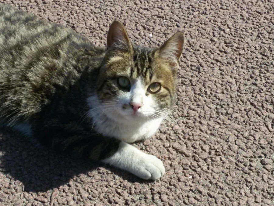 20180217_125022.jpg?type=w1200