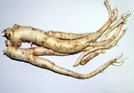 s_sm3_41_i8.jpg?type=w276_fst&wm=N