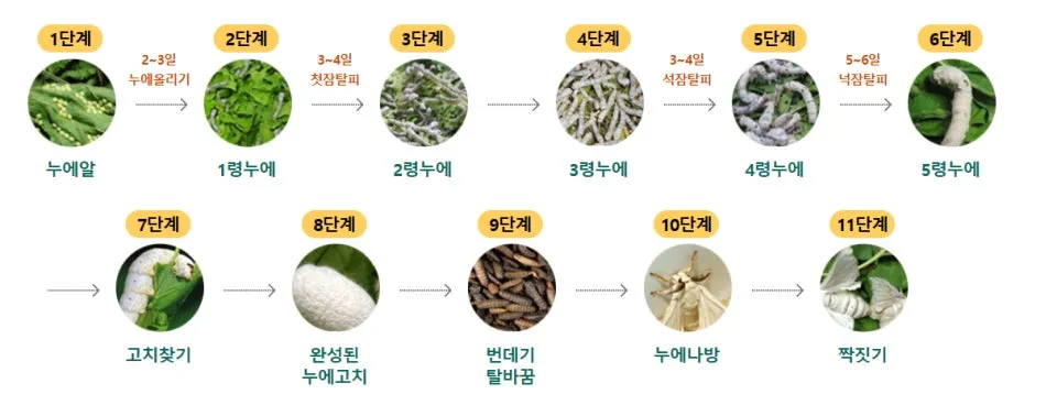 다운로드 (7).jfif