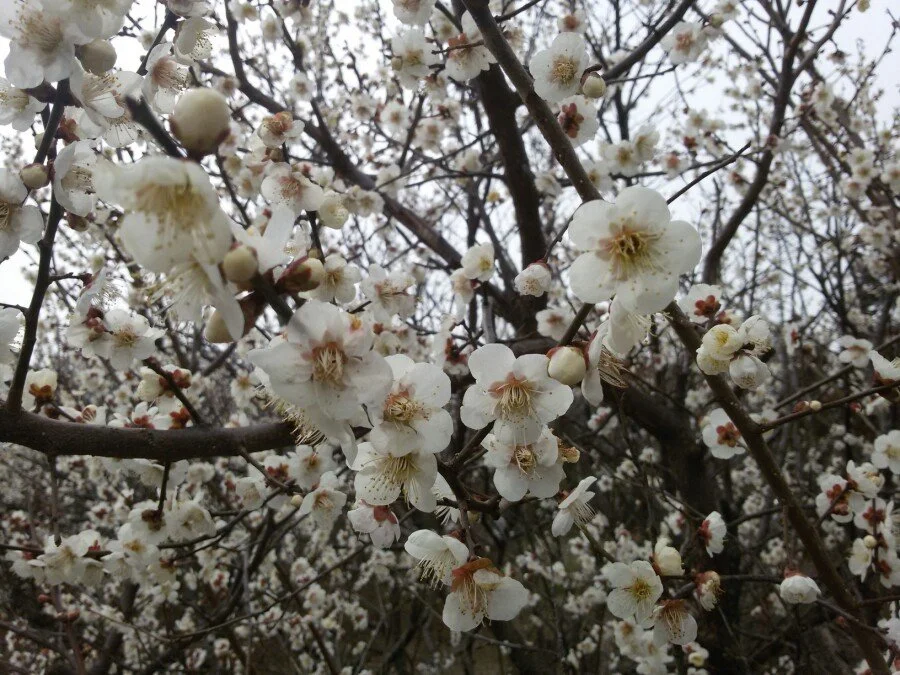 20180222_122100.jpg?type=w1200