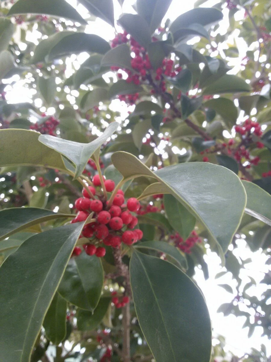 20180223_113623.jpg?type=w1200