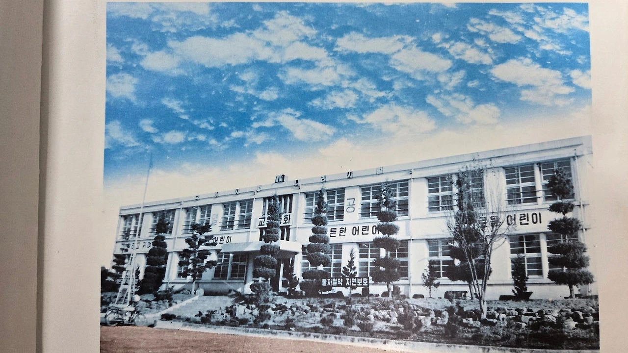 다운로드 (8).jfif