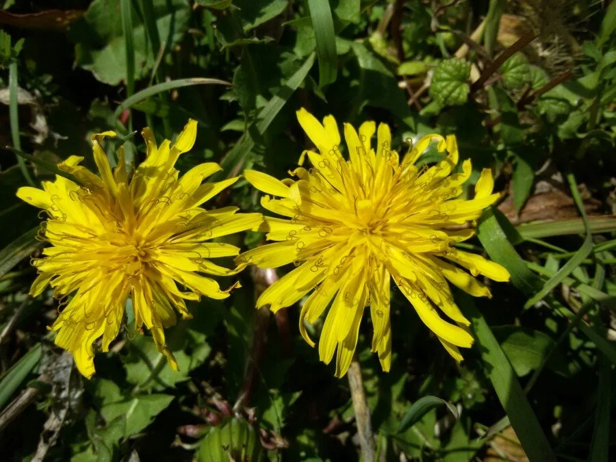 20180312_105032.jpg?type=w1200