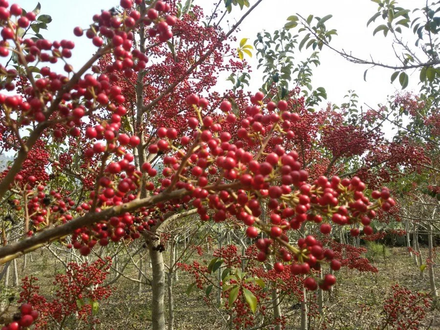 20180223_131003.jpg?type=w1200