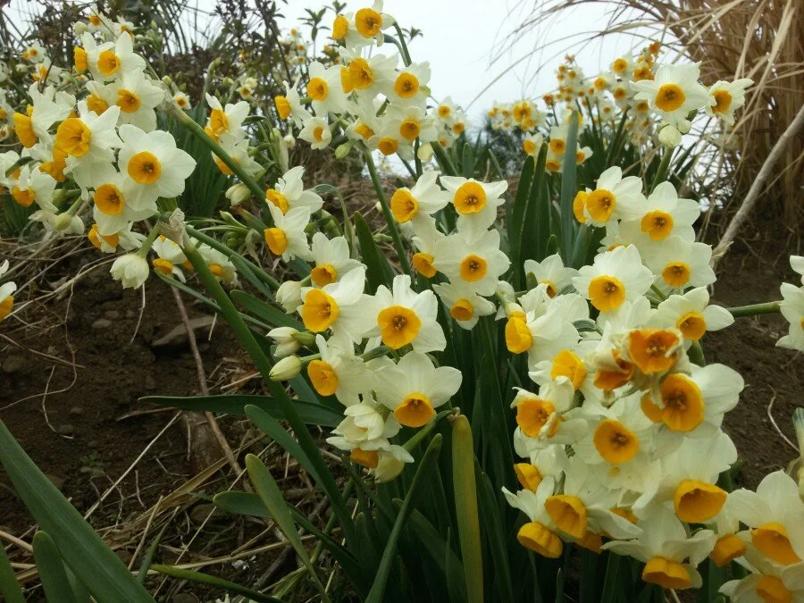 20180222_123214.jpg?type=w1200