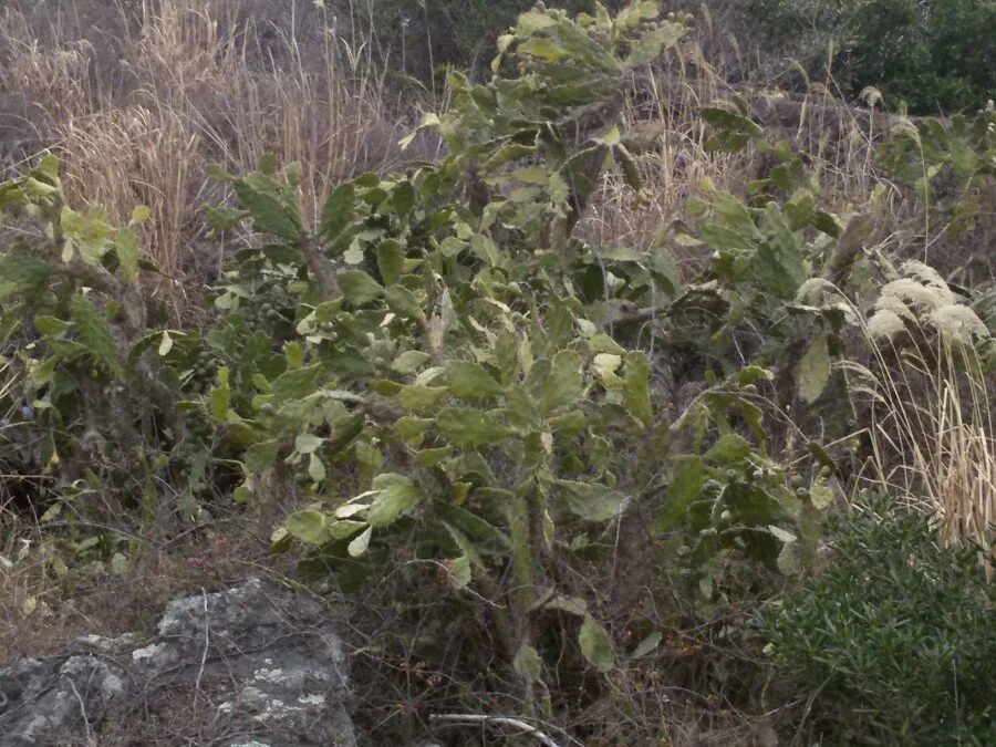 20180218_153622.jpg?type=w1200