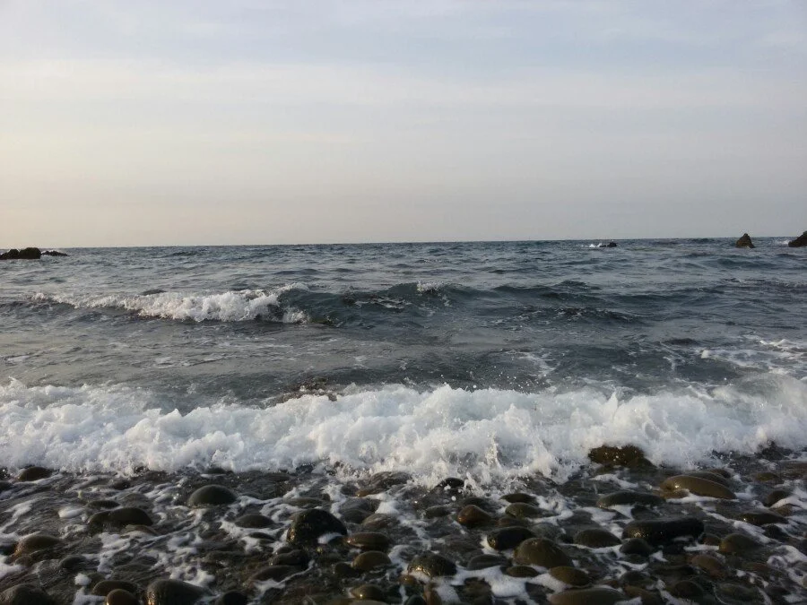 20180216_172217.jpg?type=w1200