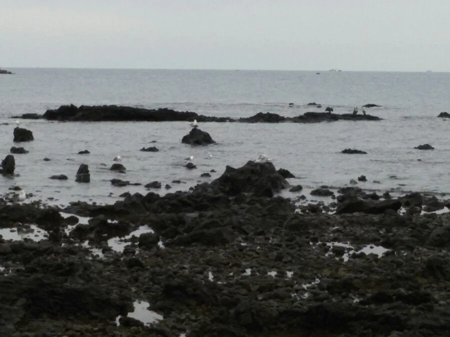 20180218_150703.jpg?type=w1200