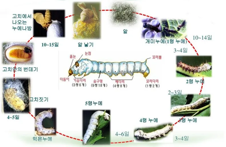 다운로드 (5).jfif