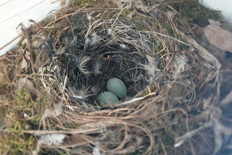 다운로드 (7).jfif