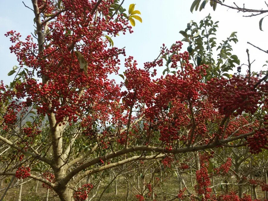 20180223_131021.jpg?type=w1200