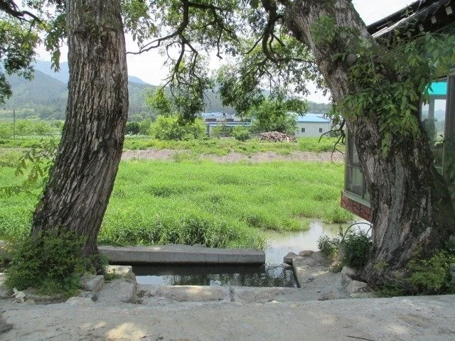 00027.jpg?type=w1200