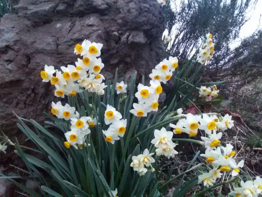 20180219_182521.jpg?type=w1200