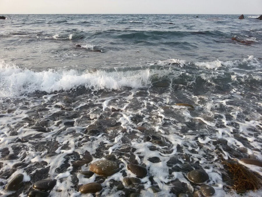 20180216_172208.jpg?type=w1200