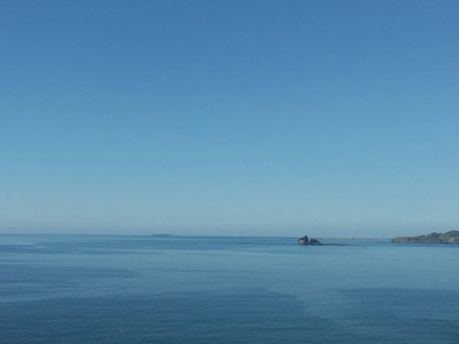 20170527_090807.jpg?type=w1200