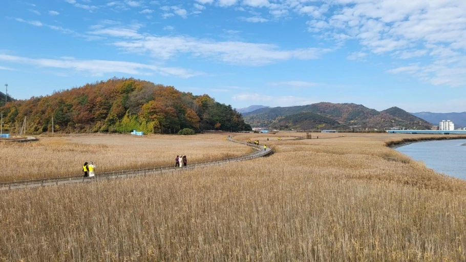 다운로드 (8).jfif