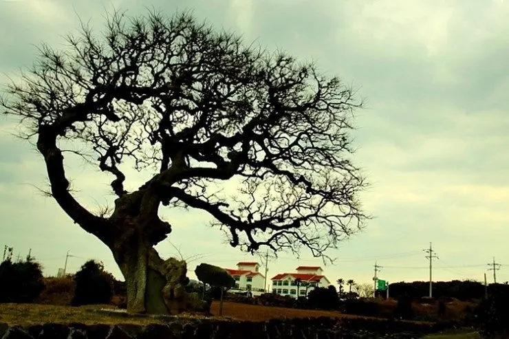 다운로드 (11).jfif